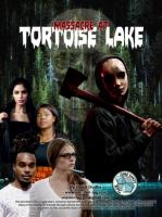Omslag till Massacre at Tortoise Lake