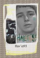 Front page for HAV'ET93