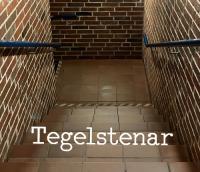 Front page for Tegelstenar
