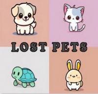 Front page for Lost Pets