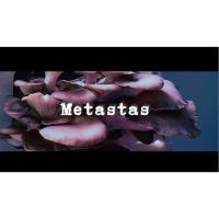 Omslag till Metastas
