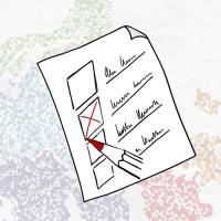 Front page for In the name of Democracy