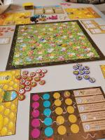 Front page for Zumbees