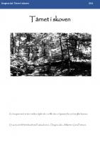 Omslag till Hinterlandet: Dragen vågner - Tårnet i skoven