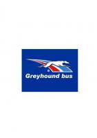Omslag till The greyhound bus