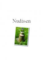 Front page for Nudåsen